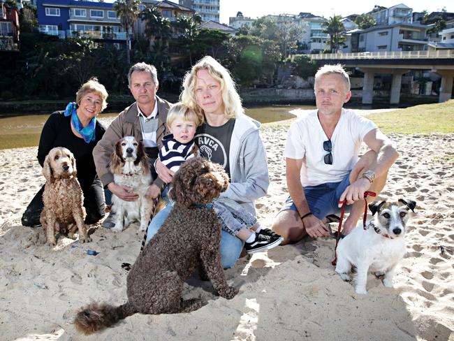 Michele Robertson with Minty, Mitch Geddes with Cooper, Adrian Breakspear, Ollie Breakspear, 2, with Sandy Bear and Bruce Denley and Mika at Queenscliif Lagoon. There is no suggestion of any bad behaviour by them or their dogs. Picture: Adam Yip.