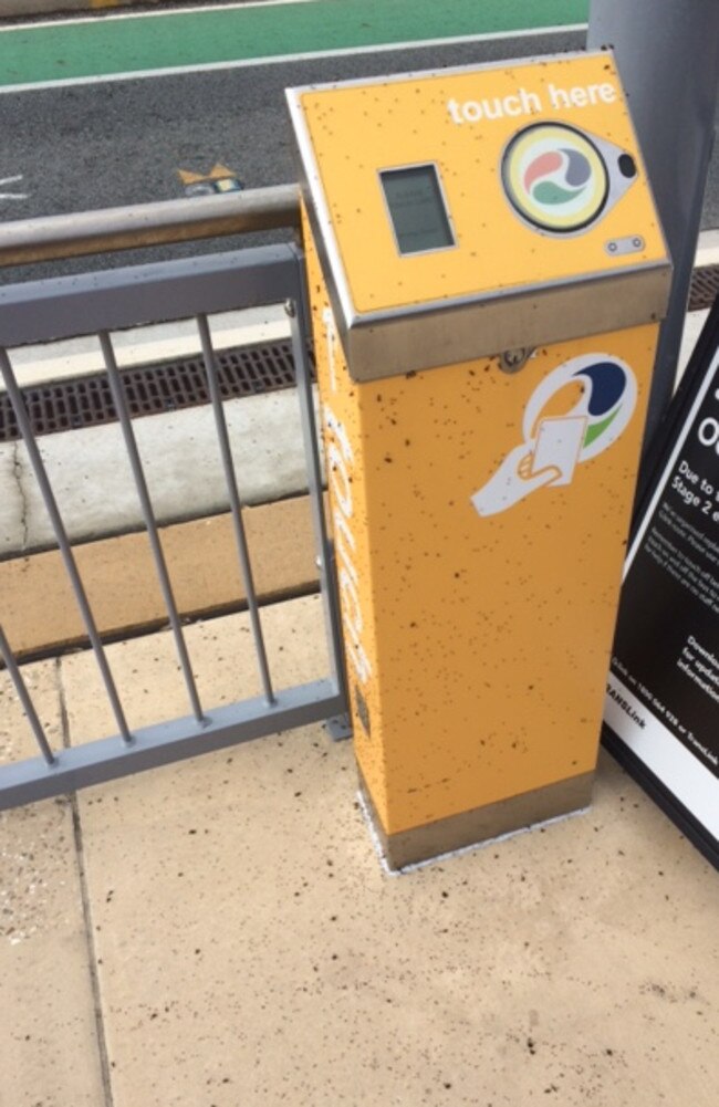 The ants were on the ground, in the air and on the Touch n Go machine. Photo: supplied