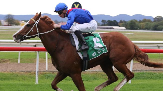 Hardware Lane has been well-backed in race 5. Picture: Grant Guy