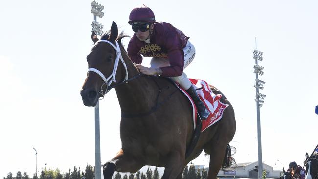 Climbing Star can atone for an unlucky outing when she steps out at Group 3 level at Caulfield on Saturday. Picture: Racing Photos via Getty Images