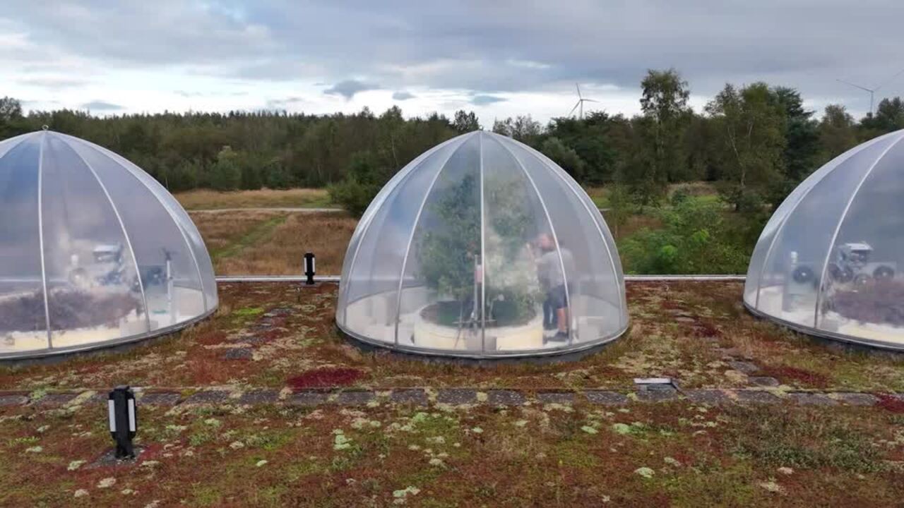 Belgian climate scientists grow the pears of the future