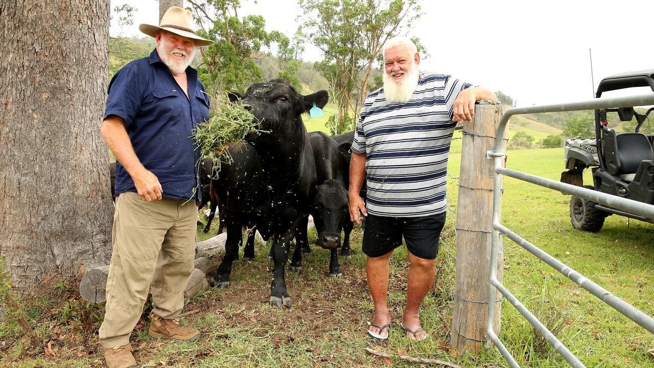 Noel and Les Cleal feed the cows. Picture: Nathan Edwards