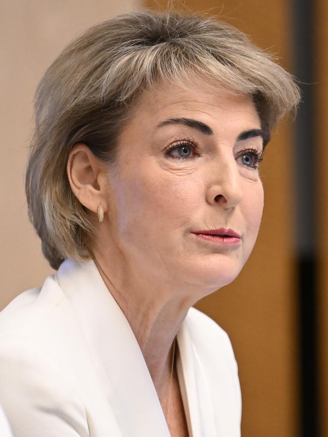West Australia’s Michaelia Cash could lose her position as the Liberals’ leader in the Senate if Ms Nampijinpa Price is elected deputy. Picture: Martin Ollman