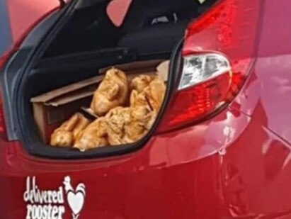 Chickens stuffed in the back of a Red Rooster branded hatchback. Picture: Facebook