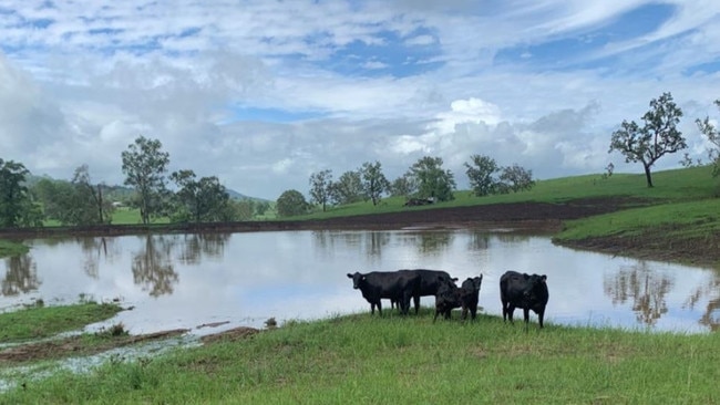 Springview, a cattle breeder property, was described as "extremely rare".