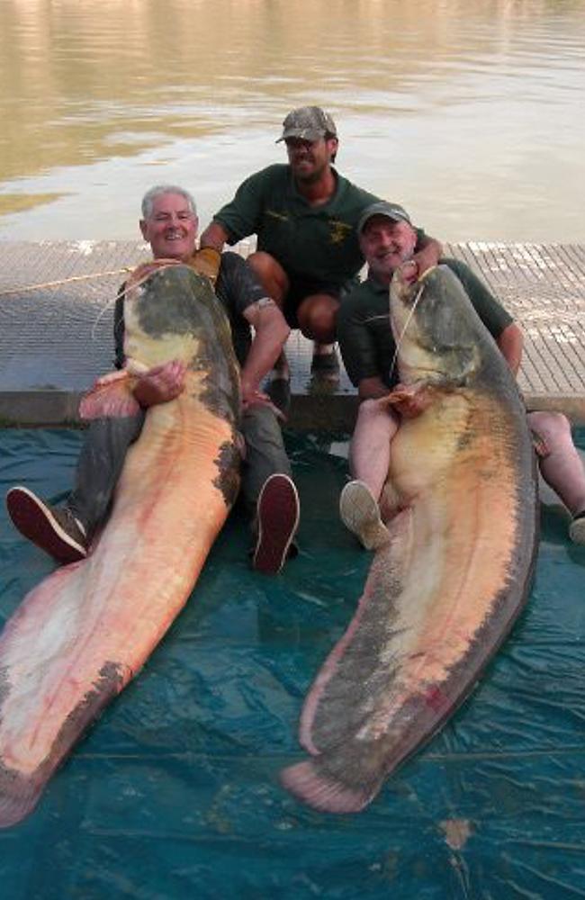 John Edwards (left) with his catfish and Tom Herron (right) with his record breaking catfish with their friend Ashley Scott. The two friends hooked the rare fish just minutes apart.