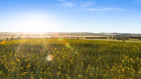 Hill View farm in South Australia has sold for almost $13m.