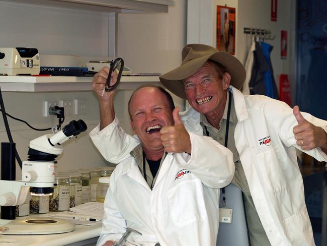 Two of the four researchers, Brad Maryan and Brian Bush (right) examining specimens in the laboratory. Picture: Brian Bush