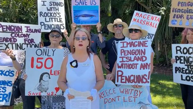 Save Rockingham's Little Penguins have called on the state government to ban visitors and recreational boating around Penguin Island to protect the little penguin population. Picture: Facebook,