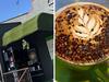 ‘Best it can be’: Cafe owner’s joy after best coffee win