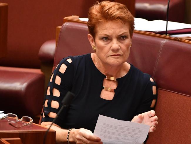 Pauline Hanson: Furious One Nation Leader Slams Candidates | The ...