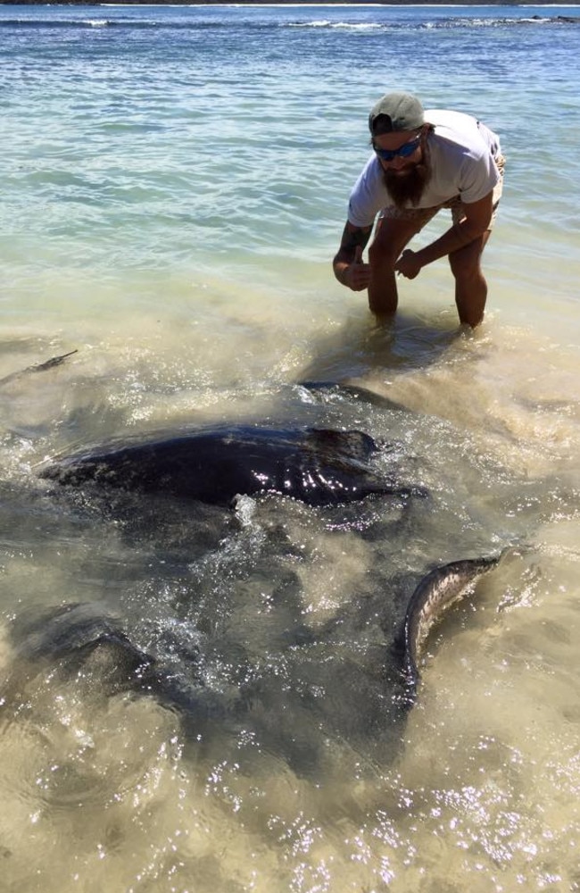 It’s not the first time a Territorian has got up close and personal with a stingray - here Territorian Benjamin Currell pats a stingray in southern NSW, after it was attracted by his incredible manliness. Picture: Benjamin Currell