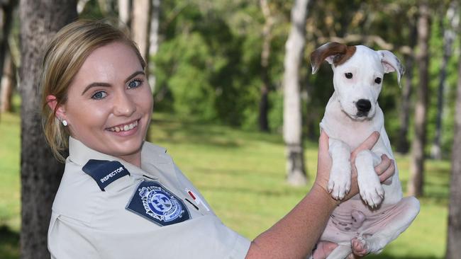 HIRING: Jema Rossow at The RSPCA Gympie, where a position is vacant for an animal attendant.