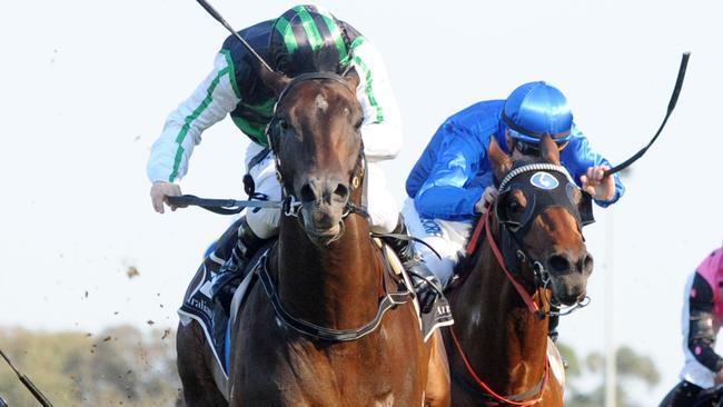 Addictive Nature showed his quality with a brave win in the Ming Dynasty.
