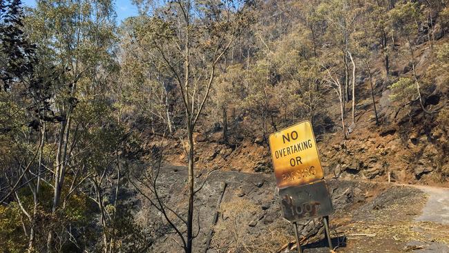 Binna Burra Lodge was closed for a year while the rubble was cleared and extensive construction to stabilise the steep slopes of Binna Burra Road was completed after bushfires in September 2019.