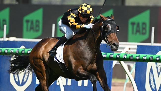 Grand Pierro, ridden by Zac Spain, wins the Bagot Handicap at Flemington. Picture: Vince Caligiuri/Getty Images