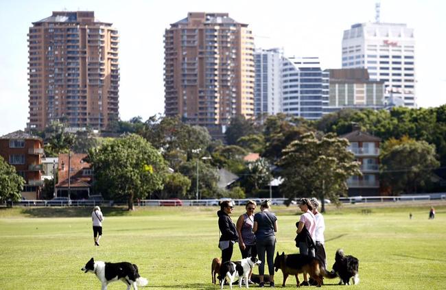 9.00am. Dog lovers meeting. Queens Park. @wentworth_courier @snapsydney #SnapSydney 2018. #photography. Picture: John Appleyard