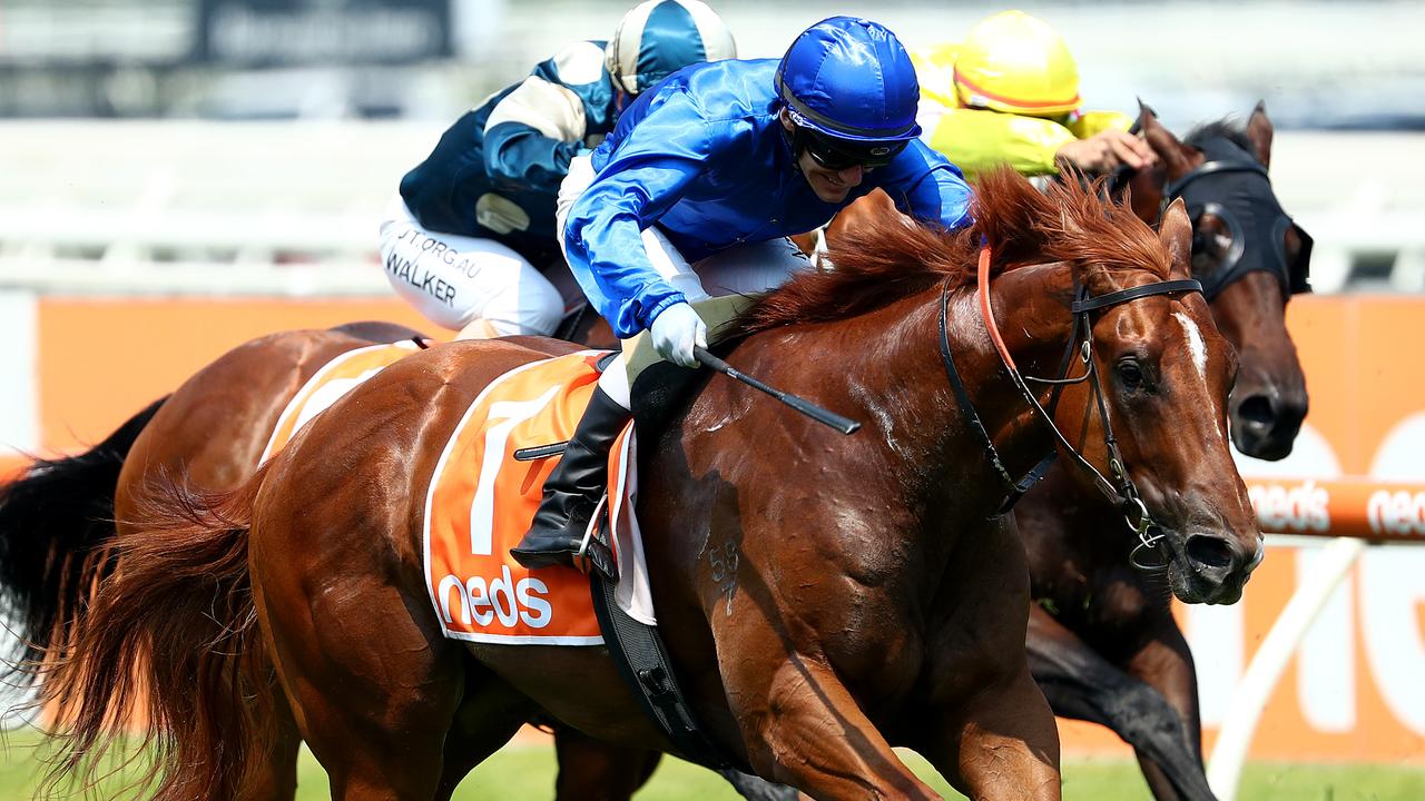 Hanseatic stormed home to win the colts division of the Blue Diamond Prelude. Picture: Getty Images