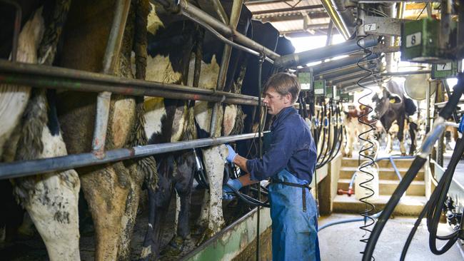 <i>The Weekly Times is a source of trusted news and industry analysis for dairy farmers. Picture: Dannika Bonser</i>