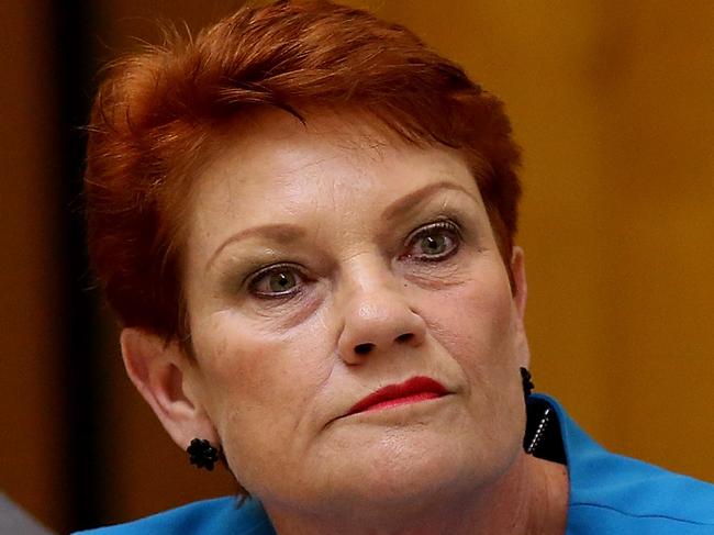 Senator Pauline Hanson asking questions at a Senate Estimates committee at Parliament House in Canberra. Picture Kym Smith