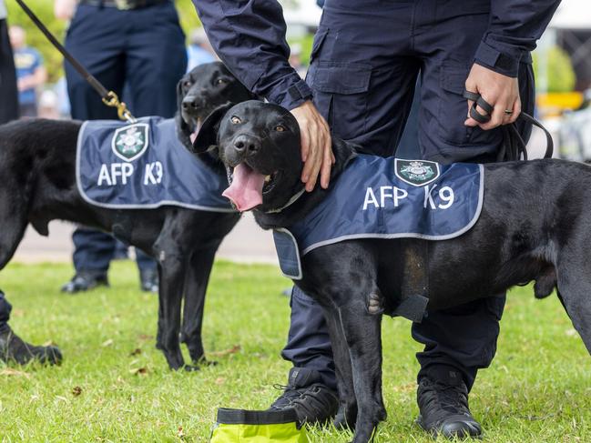 An AFP canine unit constable and his explosives Detective pooch Knox. Picture: Floss Adams.