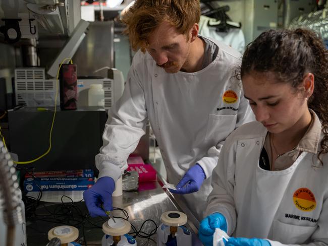 DNA collection in the waters off Western Australia. Source: Minderoo Foundation OceanOmics -  Researchers conducting water sampling for eDNA analysis at sea.