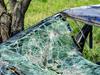 Woman fronts court after allegedly bolting from stolen car acciden