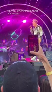 P!nk left in shock as fan throws mother's ashes onto Hyde Park stage