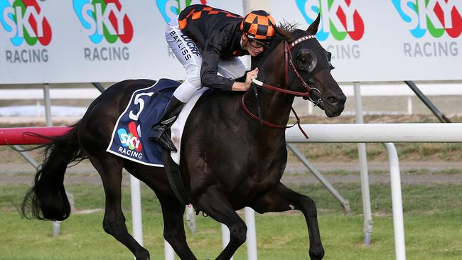 Bondeiger ridden by Regan Bayliss wins the Launceston Cup. Picture: Chris Kidd