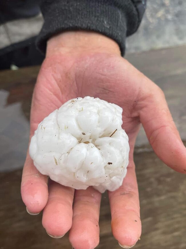 A Central Queensland resident scooped up a large hail stone at Machine Creek, near Mt Larcom after a severe thunderstorm moved across the region about 3.30pm Monday. Picture: Darren Oakey