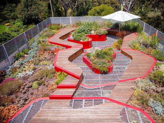 EMBARGO FOR TWAM 13 JULY 2024. FEE MAY APPLY. The University of MelbourneÃ¢â¬â¢s Green Infrastructure Research Group has developed a free guide to the most suitable plants for green roofs based on plant trials at the Burnley campus in Melbourne. Photo: University of Melbourne