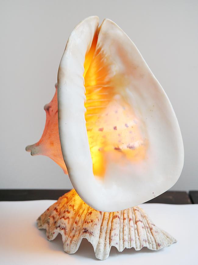 <b>Shell light: </b>My parents purchased this piece back in the ‘70s during our family holiday to the Great Keppel Island. I have it on a timer and switch it on every night as a signal for relaxation time.