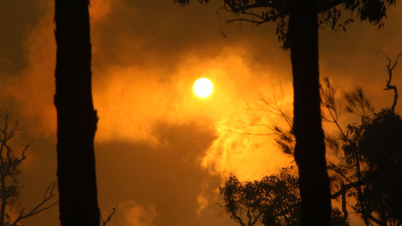 canberra-residents-on-high-alert-ahead-of-heatwave-news-au