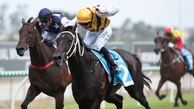 Winner of race 3 Lacey Lynx Pack ridden by Luke Dittman at the Gold Coast Turf Club. Picture: Steve Holland
