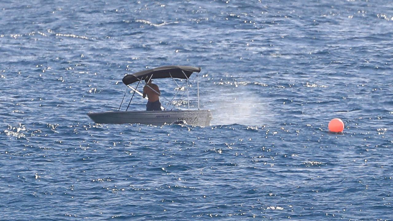 A Good Samaritan rescues a whale caught in the nets off Burleigh Heads Beach. Photo: Adam Head