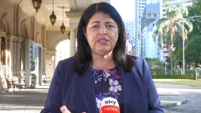 Education Minister Grace Grace said an extra 50,000 families will benefit from the free kindy initiative from next year. Picture: Sky News Australia.