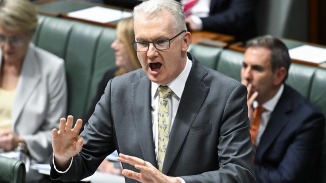 Leader of the House, Minister for Home Affairs and Minister for the Arts, Tony Burke during question time at Parliament House in Canberra in March. Picture: NewsWire/Martin Ollman