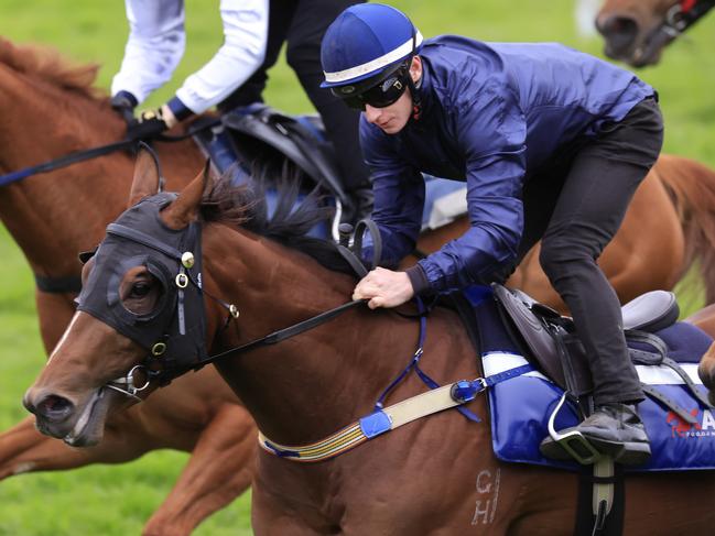 SYDNEY, AUSTRALIA - AUGUST 12: James McDonald on Best Of Bordeaux wins heat 1 during barrier trials at Rosehill Gardens on August 12, 2022 in Sydney, Australia. (Photo by Mark Evans/Getty Images)