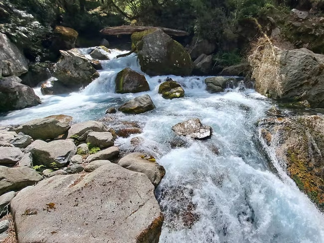 The girl fell into the fast-flowing creek and was swept under. Photo: 1News