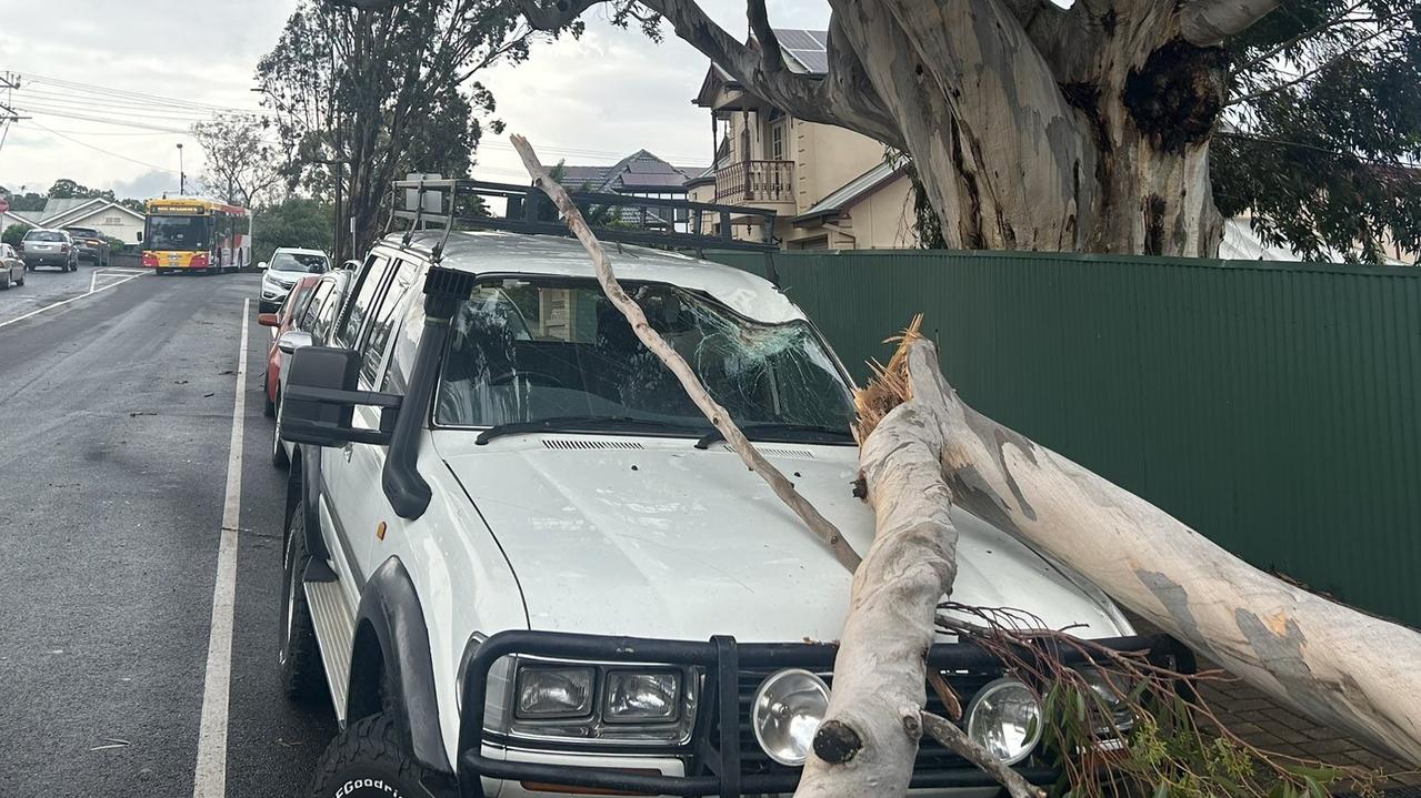 Trees have fallen on cars amid wild winds across Adelaide. Picture: 9News