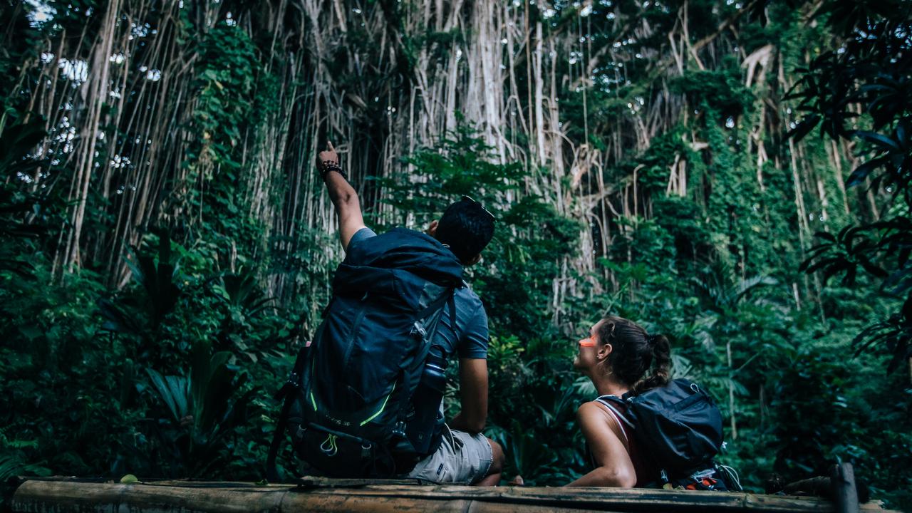 Banyan trees in Tanna. Picture: We Are Explorers.