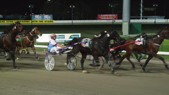 Harness racing myths