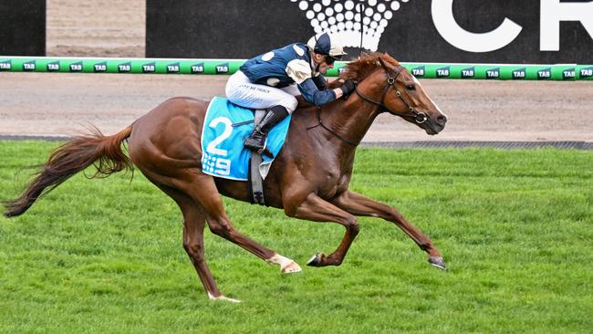 Light Infantry Man and jockey James McDonald will again partner up in Saturday’s Group 1 Railway Stakes at Ascot. Picture: Reg Ryan / Racing Photos