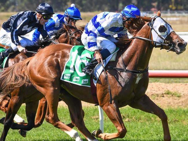 Wegottem Today Son ridden by Joe Bowditch wins the Supercellars Werribee Super Vobis Two-Years-Old Maiden Plate at Werribee Racecourse on April 01, 2021 in Werribee, Australia. (Reg Ryan/Racing Photos via Getty Images)