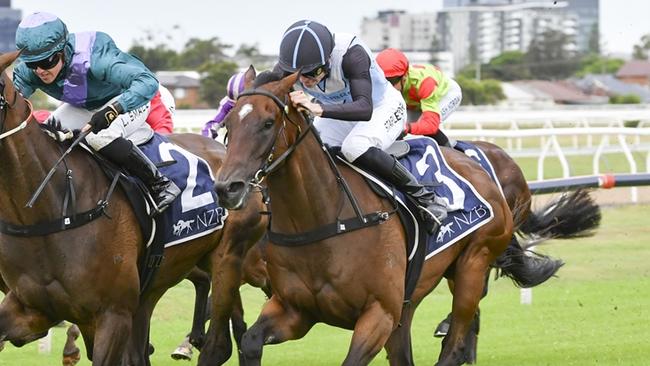 Formal (outside) can break through for a well-earned win at Wyong. Picture: Bradley Photos