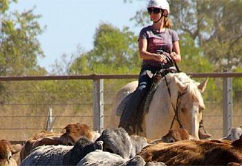 City Slickers ... a guest learns to muster cattle at Bullo River Station in the Northern Territory.