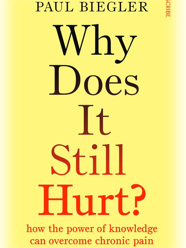 Why Does it Still Hurt? by Paul Biegler.