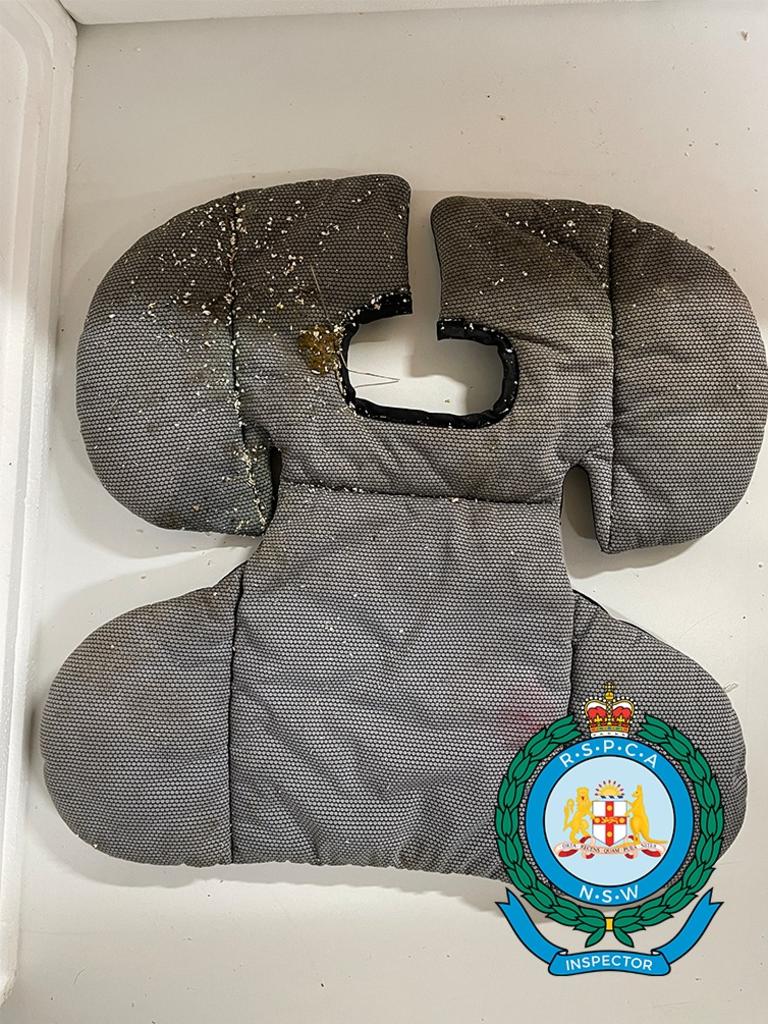 A padded cushion believed to be part of a baby's car seat. Picture: RSPCA NSW