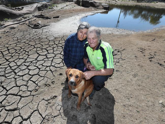 John and Angie Giacosa with dog Kara in their 10 per cent-capacity dam. Picture: Annette Dew