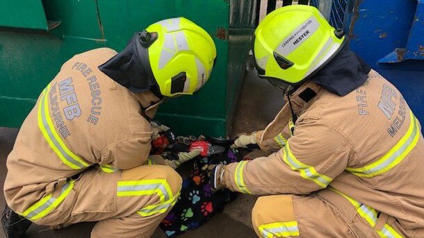 Crews used a grinder and batter-operated spreading tool in a 45 minute operation to free the feline. Photo: MFB